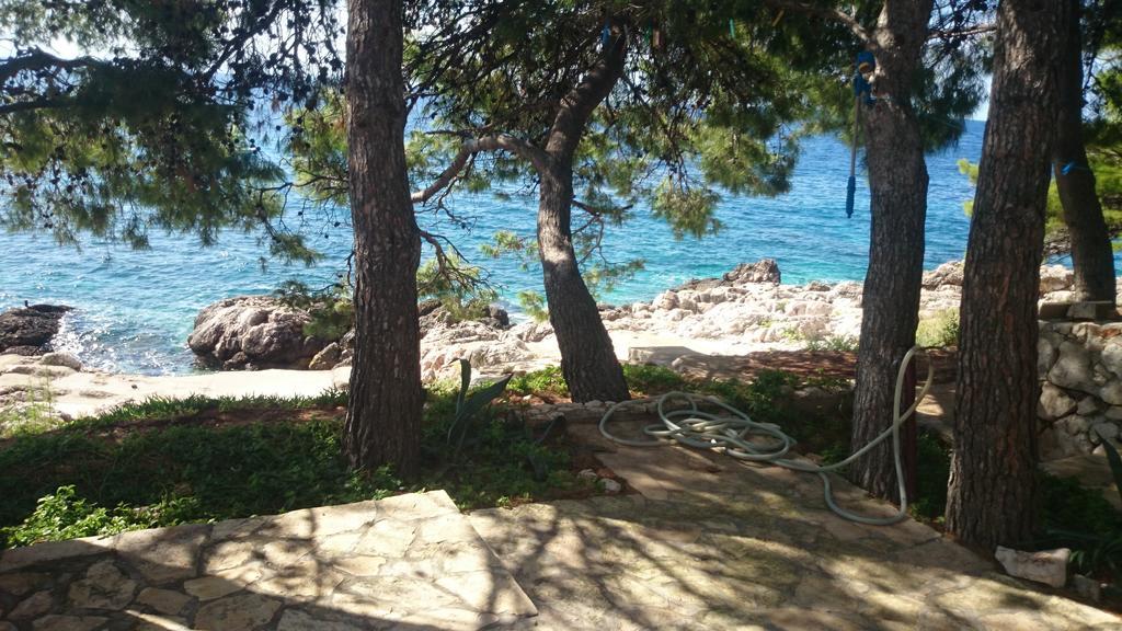 Dunja Hvar * Ivan Dolac