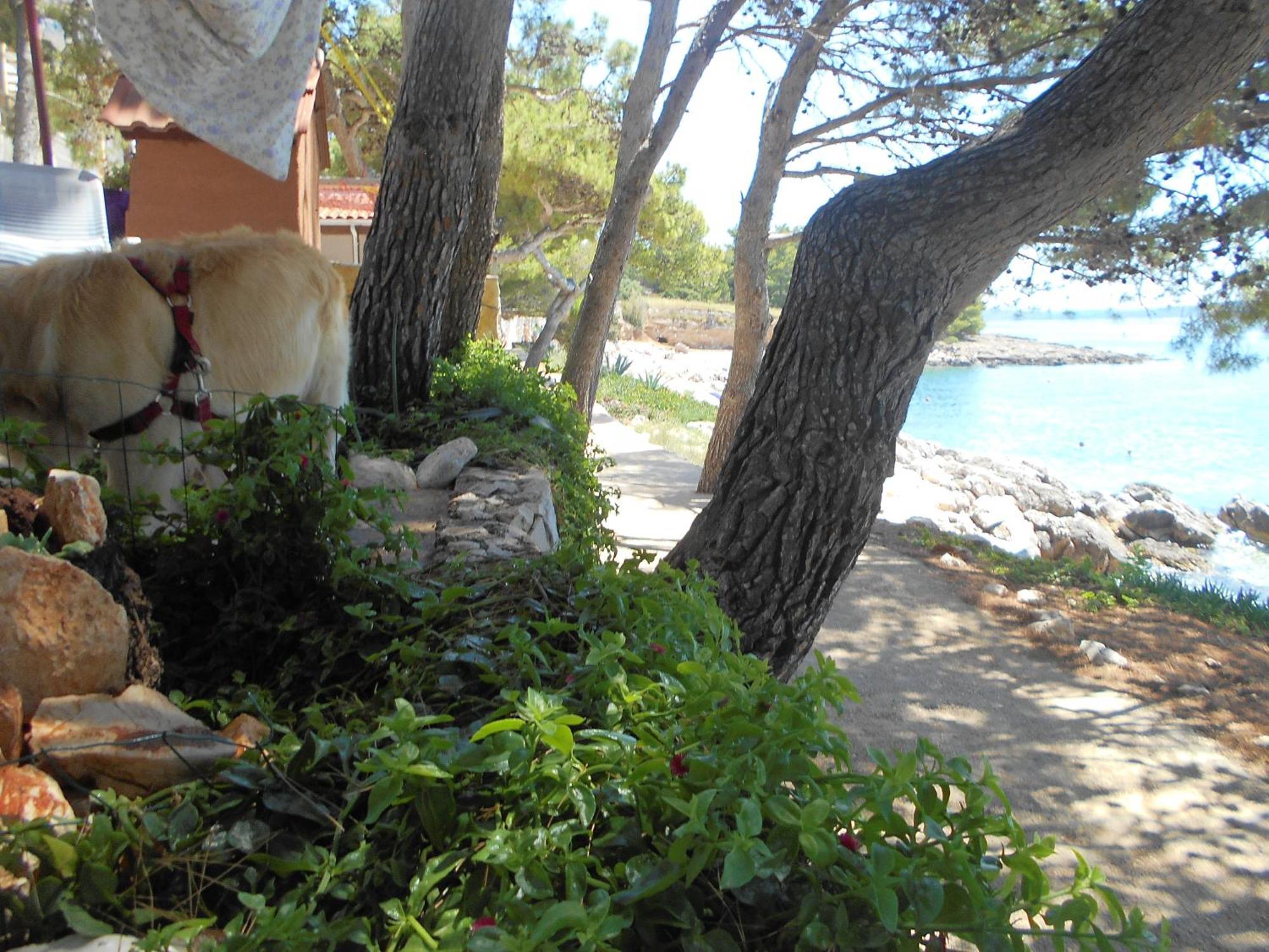 Appartement Dunja Hvar Ivan Dolac